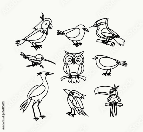 Birds collection