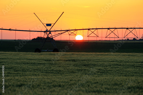 Farm irrigation sprinkling fields at sunset