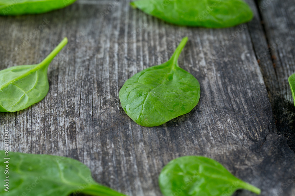 Fototapeta premium fresh spinach leaves