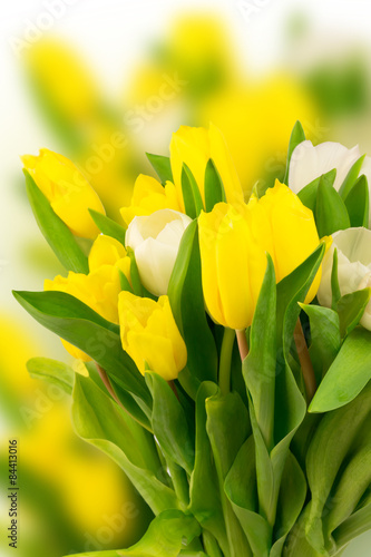 Fototapeta Naklejka Na Ścianę i Meble -  bouquet of tulips mother birthday gift valentine spring background selective soft focus toned photo