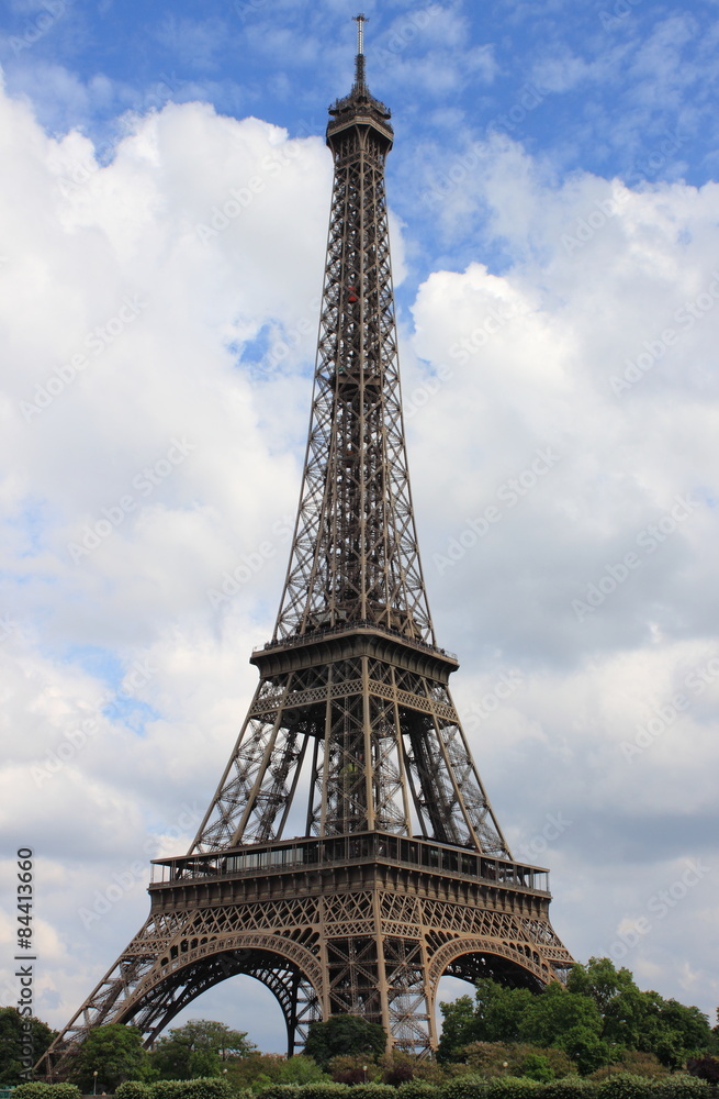 Fototapeta premium Eiffel tower in Paris, France