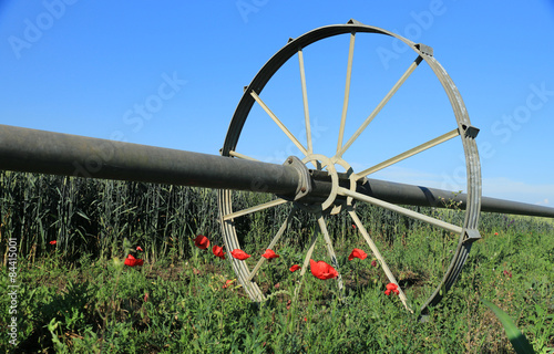 wheat field and irrigation equipment