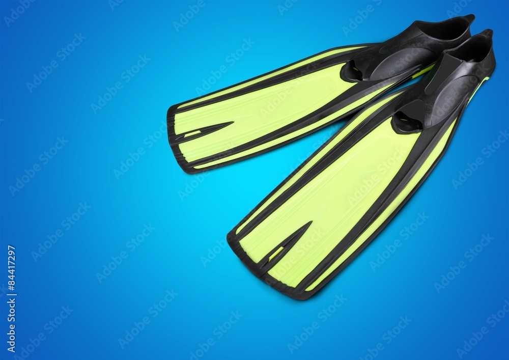 Flipper, Swimwear, Isolated. Flipper, Swimwear, Isolated.