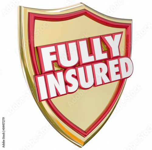 Εκτύπωση καμβά Fully Insured Gold Shield Insurance Policy Coverage