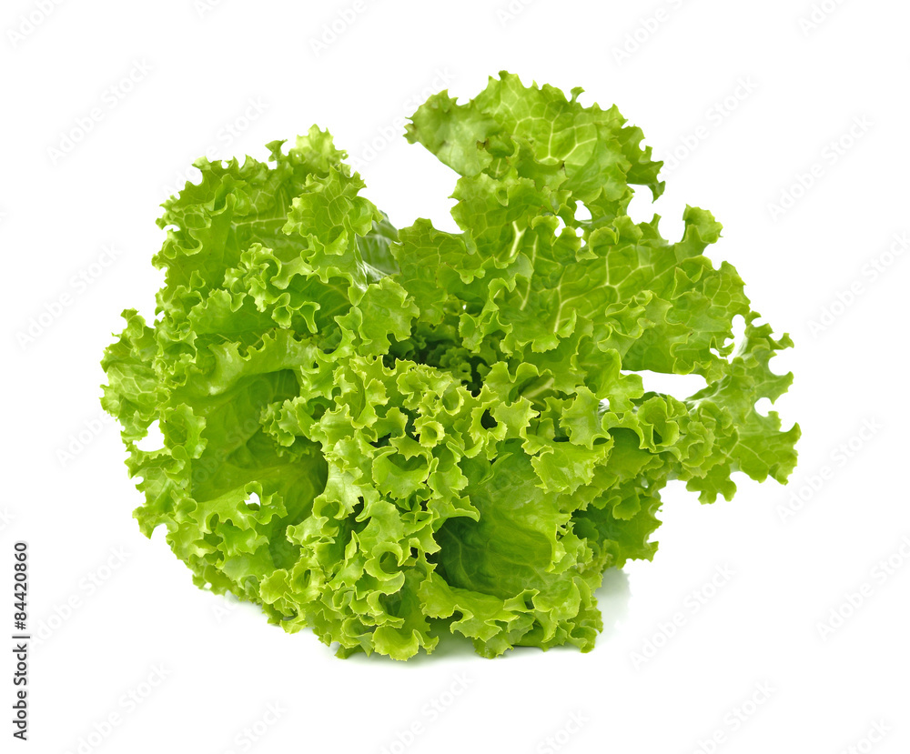 Fototapeta premium lettuce salad on a white background