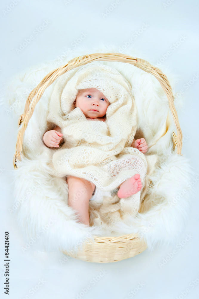 The kid in a basket The kid in a basket