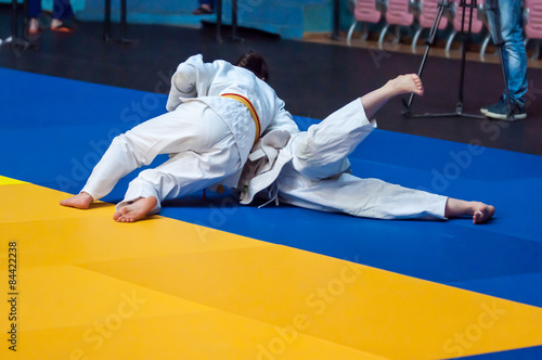 Girls in Judo photo