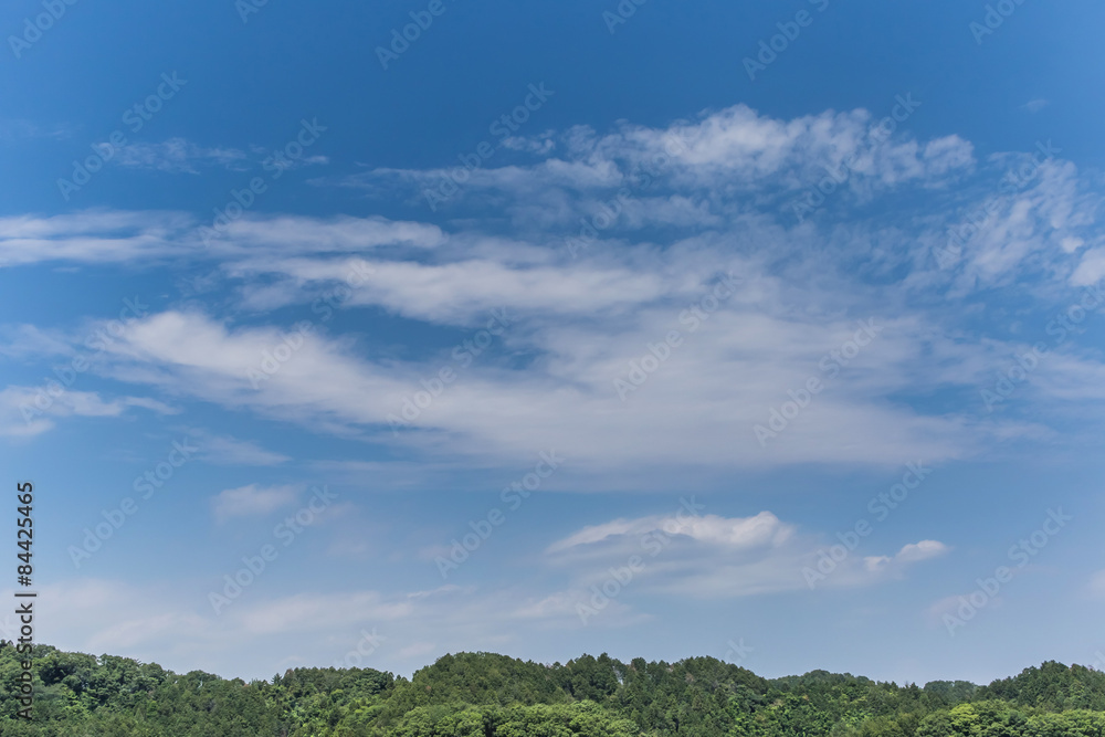初夏の高原 Blue sky of the plateau early summer 初夏の高原 Blue sky of the plateau early summer