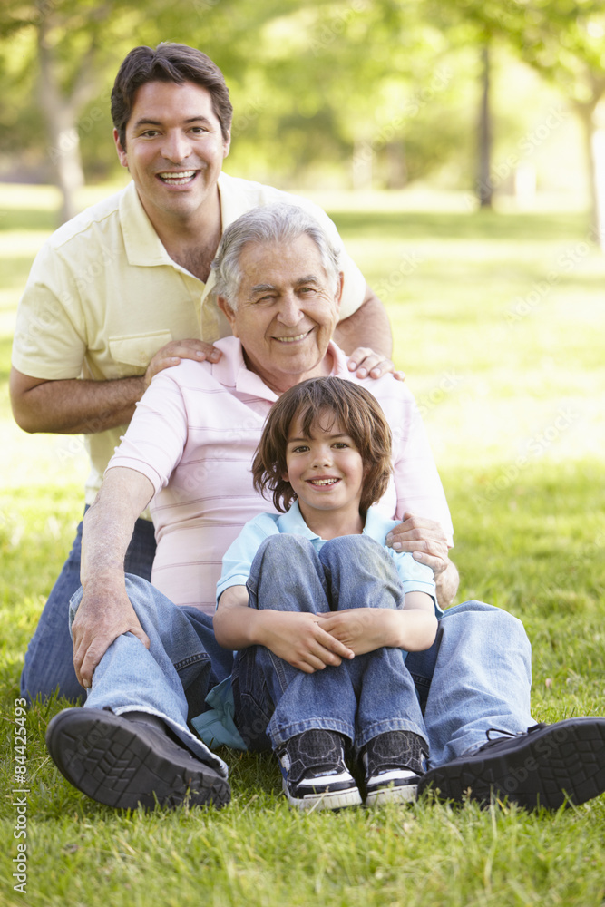 Fototapeta premium Hispanic Grandfather, Father And Son Relaxing In Park