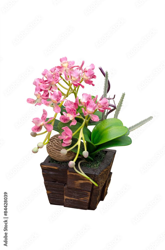 Naklejka premium Artificail orchid in flower pot isolated over white