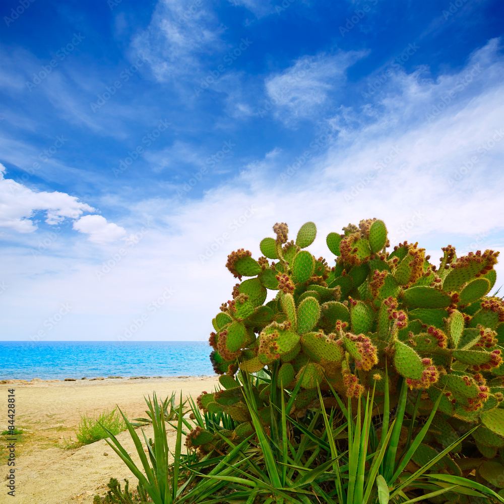 Almeria Mojacar beach Mediterranean sea Spain Almeria Mojacar beach Mediterranean sea Spain