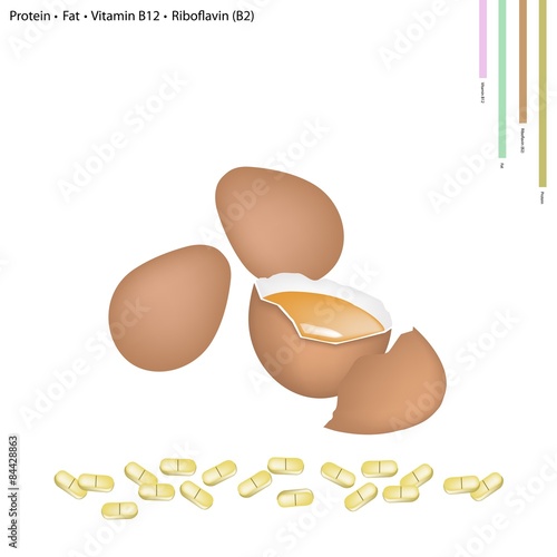 Egg with Protein, Fat, Vitamin B12, Riboflavin