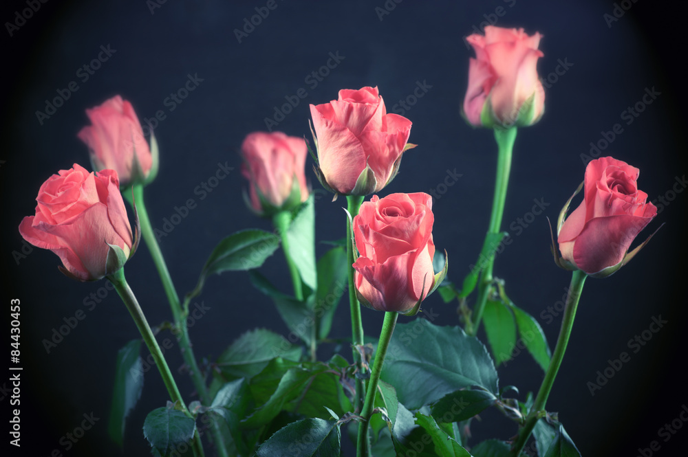 Rose flowers bouquet