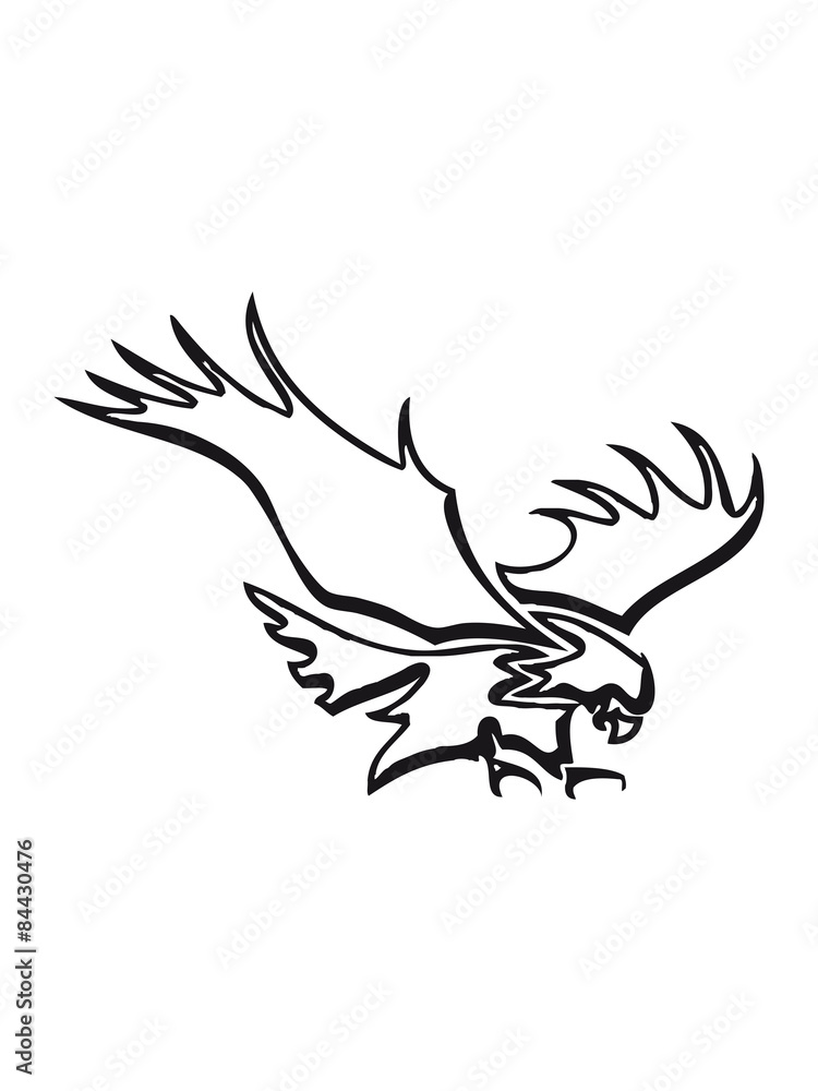 Obraz premium Eagles fly