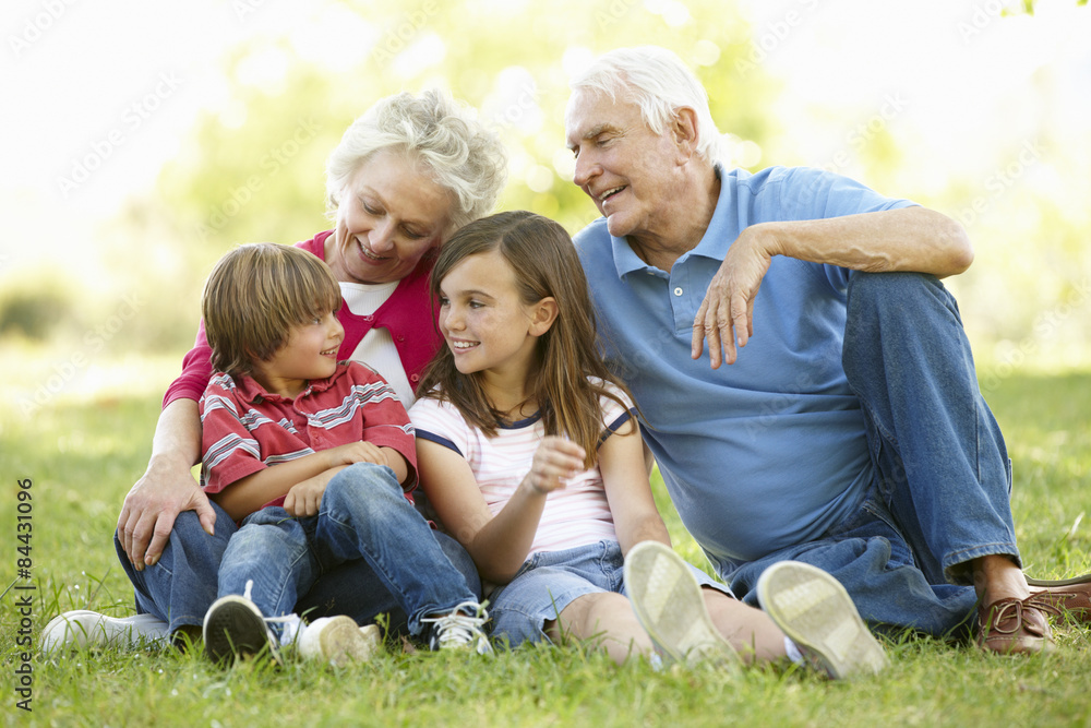Fototapeta premium Senior couple and grandchildren in park