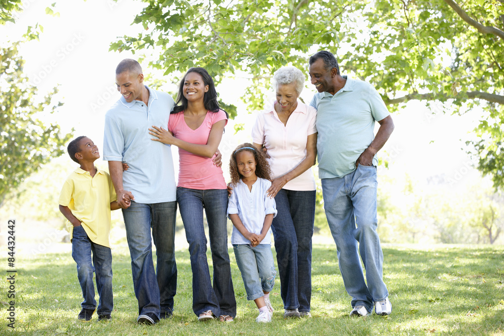 Multi Generation African American Family Walking In Park Multi Generation African American Family Walking In Park