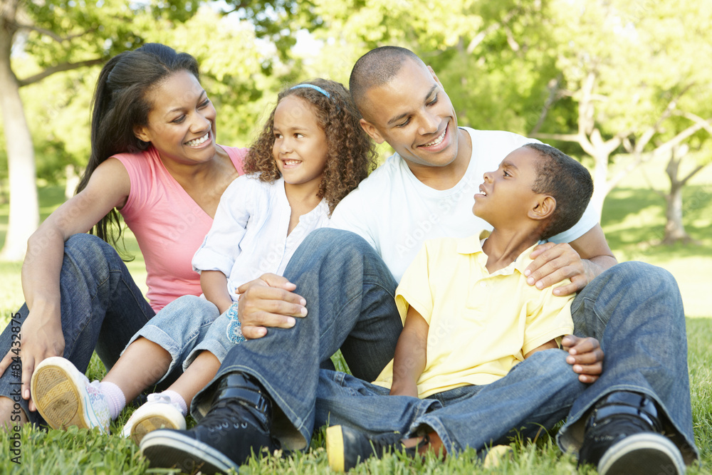 Young African American Family Relaxing In Park