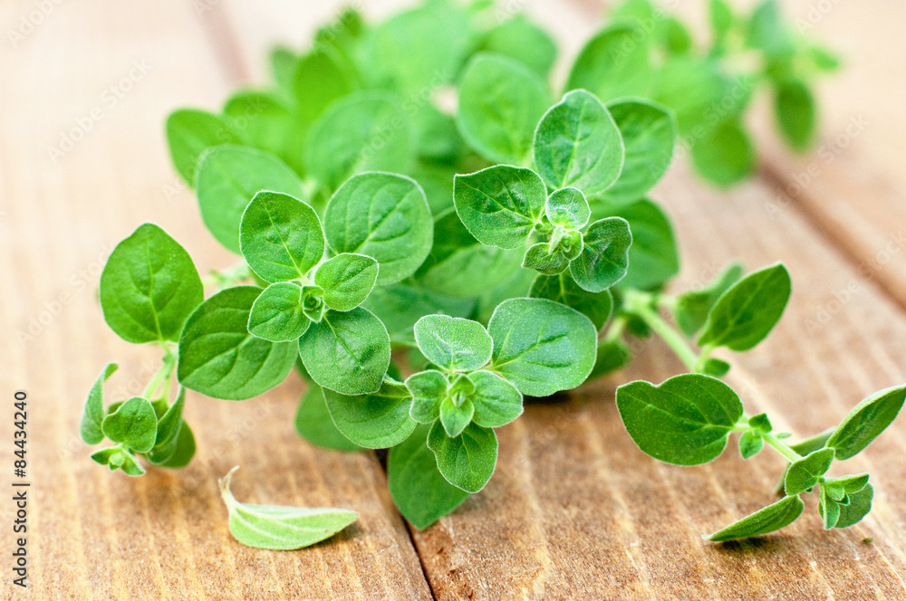 oregano