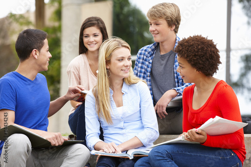 Multi racial student group sitting outdoors