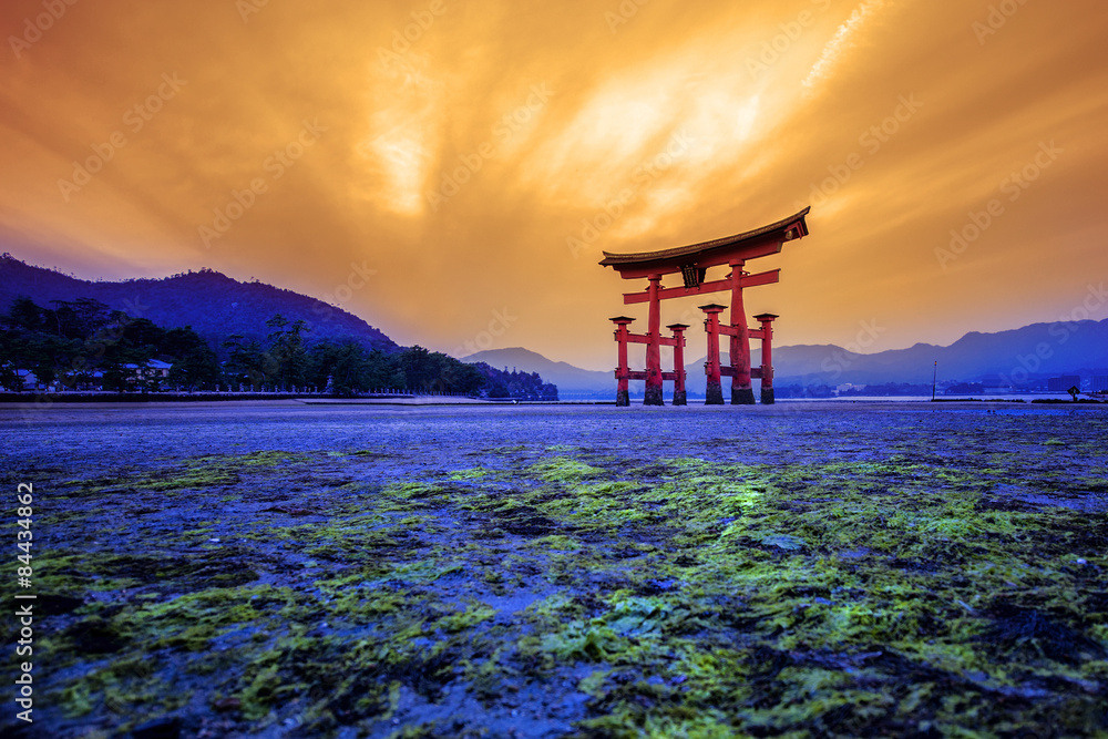 Tori in Hiroshima Japan and golden sky