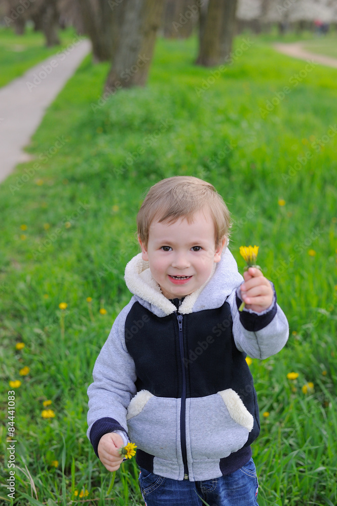 A Little Boy Holding Dandelion A Little Boy Holding Dandelion