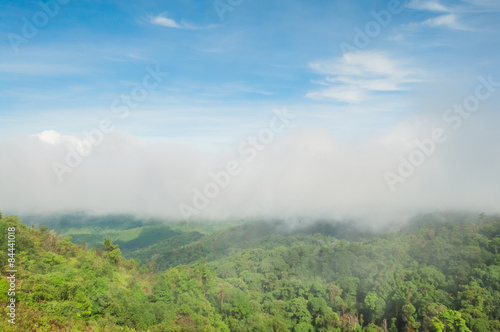 Morning mist in rainforest  © khlongwangchao