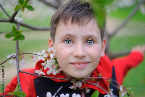 A Boy and Blossoming Cherry