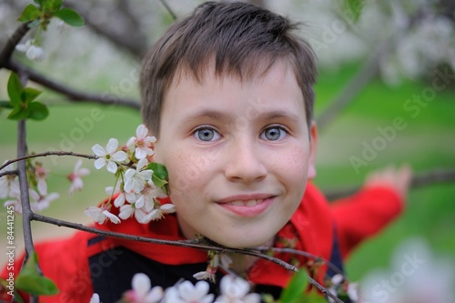 A Boy and Blossoming Cherry