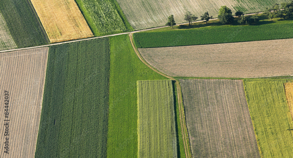Freshly plowed and sowed farming land from above