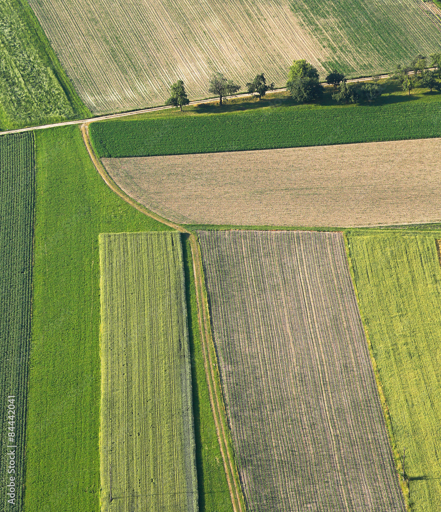 Freshly plowed and sowed farming land from above