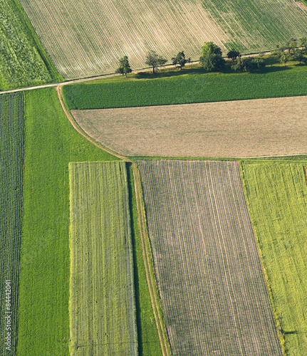Obraz na płótnie Freshly plowed and sowed farming land from above w salonie