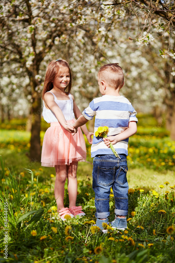 Fototapeta premium Boy giving a girl a flower