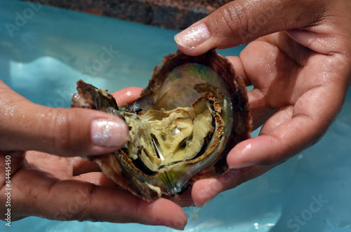 Woman hands open oyster with white pink pearl