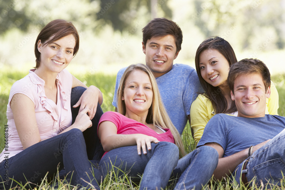 Fototapeta premium Group Of Young Friends Relaxing In Countryside