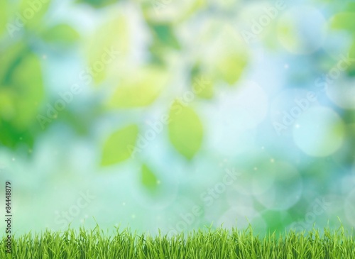 Easter, background, grass.