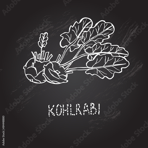 hand drawn kohlrabi