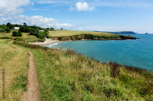 Coastal Pathway leading to Porthcurnick Beach Cornwall England Landscape photo