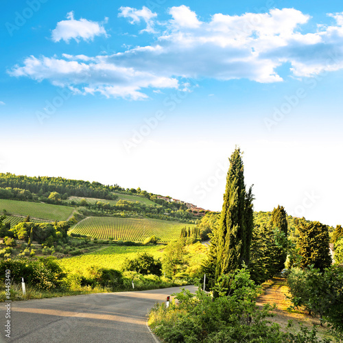 day of summer in Chianti 