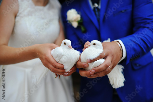 doves at a wedding