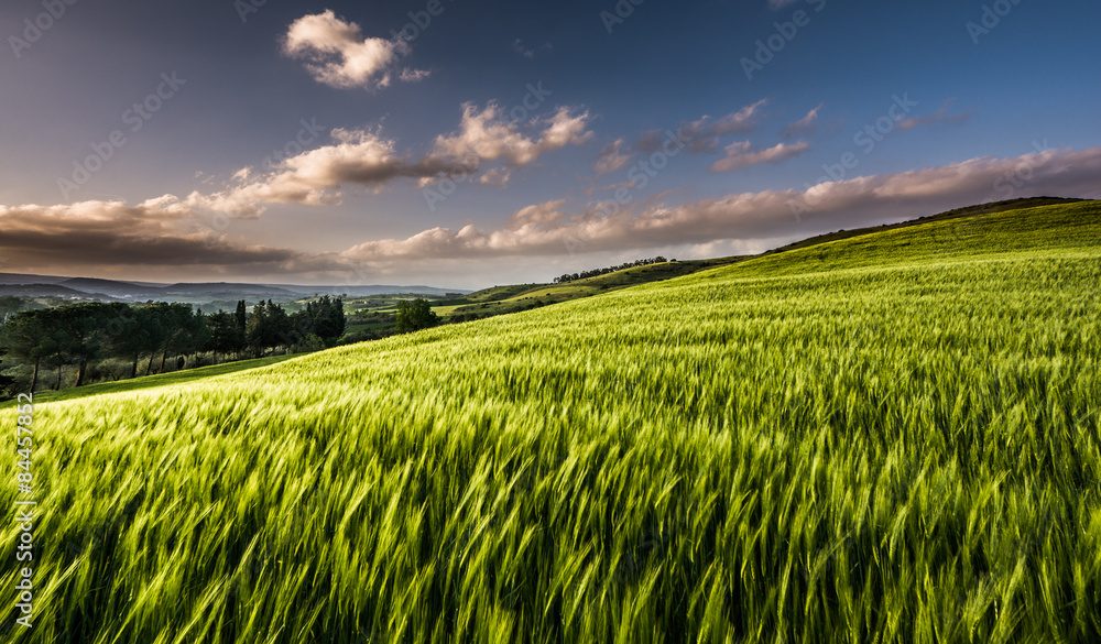 sardinia landscape