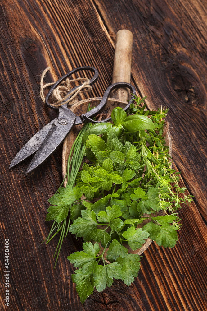 Various aromatic culinary herbs, rustic style.