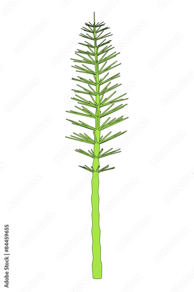 cartoon image of aquatic plant cartoon image of aquatic plant