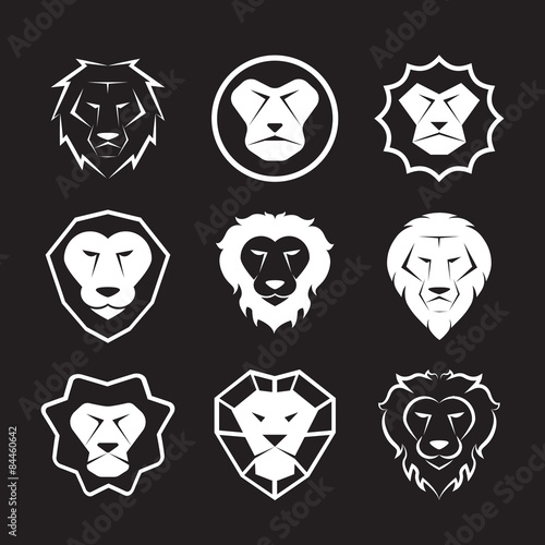 Fototapeta Naklejka Na Ścianę i Meble -  Vector group of an lion head design on black background