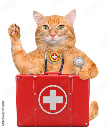 Fototapeta Naklejka Na Ścianę i Meble -  Cat with a first aid kit.