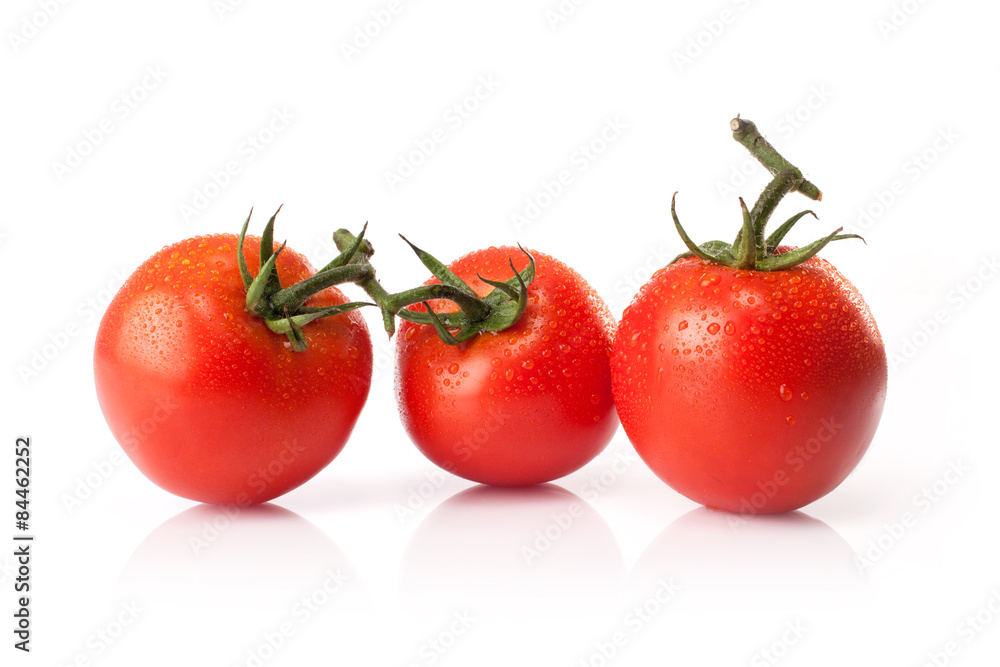 fresh tomatoes isolated on white background fresh tomatoes isolated on white background