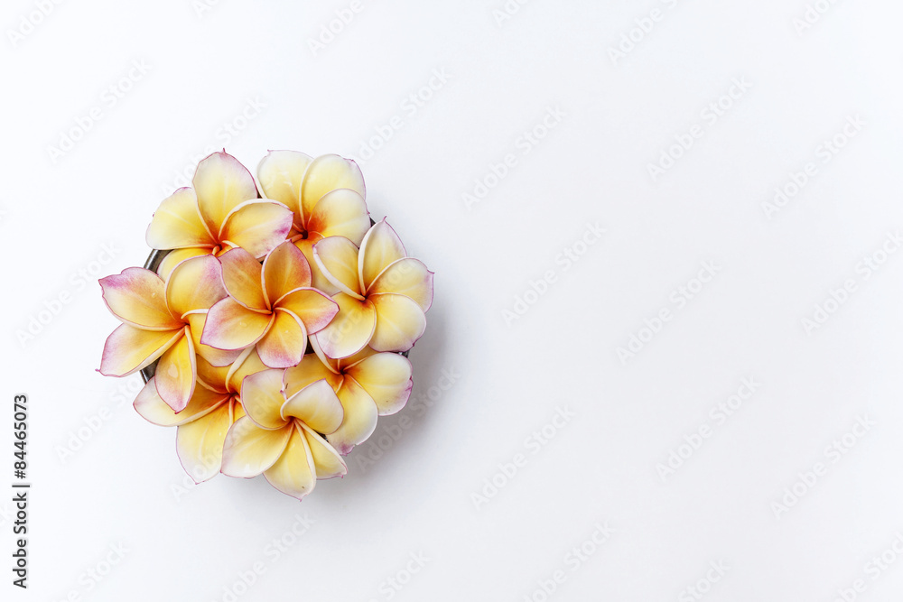 Flower vase drop shape with plumeria flower, spa concept 