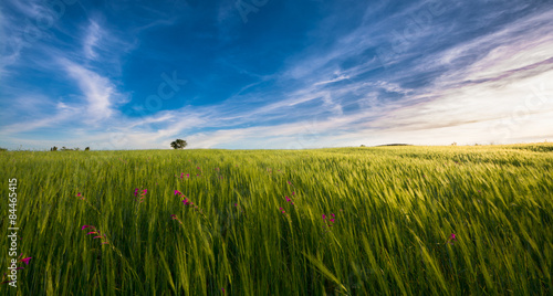 sardinia landscape