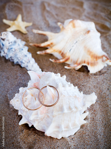 Wedding rings on cockleshells