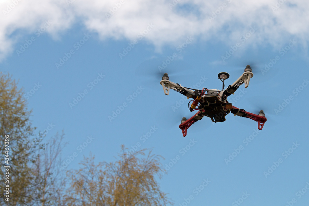 Flying drone near trees 