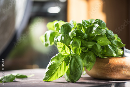 Fresh organic basil